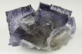 Purple Cubic Fluorite Crystals on Sphalerite - Elmwood Mine #191749-2